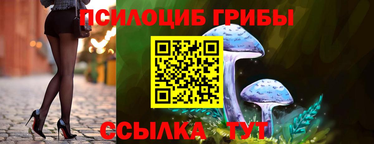 где купить наркотик  Псилоцибиновые грибы MAGIC MUSHROOMS  Вход с VPN  Заводоуковск  Галлюциногенные грибы Psilocybine cubensis 