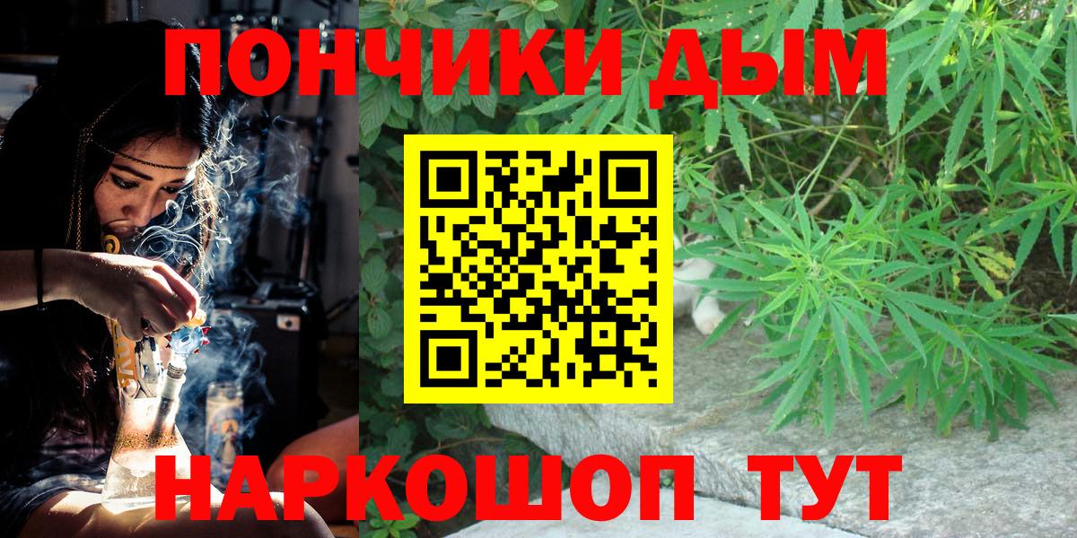 Бошки марихуана сатива Заводоуковск